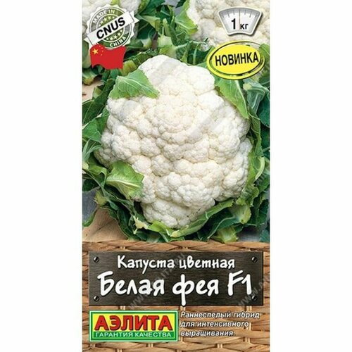 ���� ������ ������� ������� ����� ��� F1 (�����������) (������) 10�� ���, ������ �� 74 ���