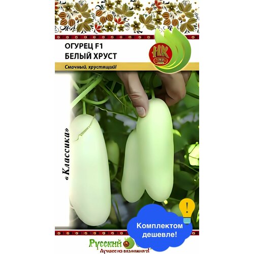 ���� ������ ������ ������� ������ 