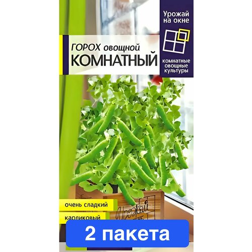 ���� ������ ������ ������ ����� 