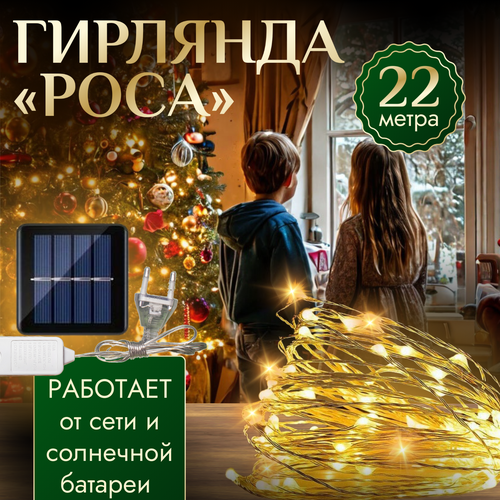 ���� �������� �� ��������� �������� ������� 22 � ������� ���� ����, ������ �� 650 ���