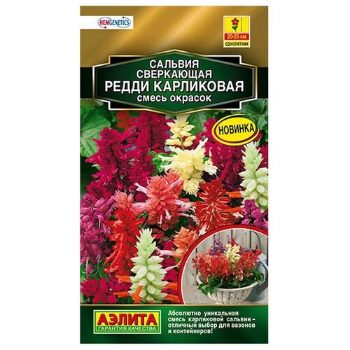 ���� ������ ��������� ������ ������� ����� ����������, ����� ������� 7 ��., ������ �� 250 ���