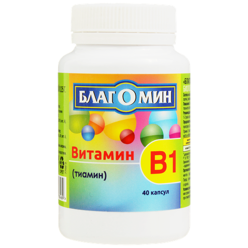 ���� �������� ������� B1 ������ �40, ������ �� 311 ���