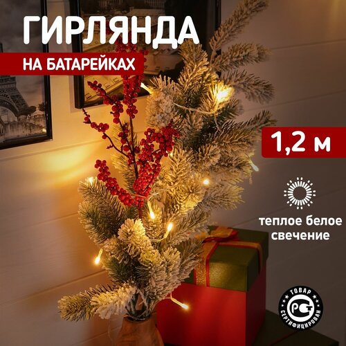 ���� �������� NEON-NIGHT 303-073, 1 ��. � ������, 12 � 0.04 � 0.043 �, 0.043 � 0.04 �, 10 ����, ������, ������ �� 221 ���