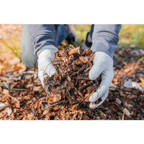 ���� ������������� / ����� ��� ������������� / ���� ������ ��������/ ������� ������� / �������� 45 �., ������ �� 880 ���