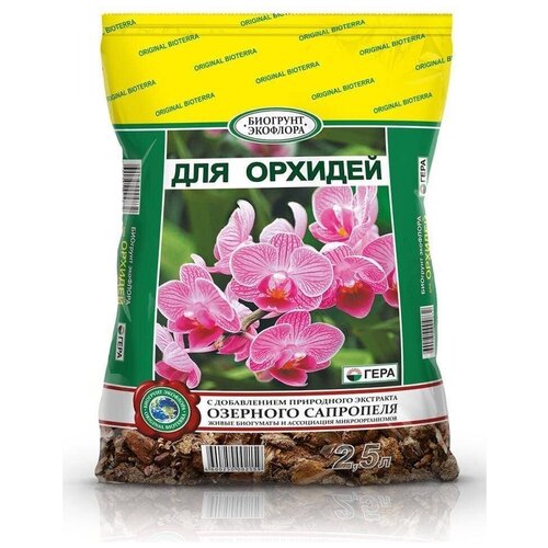 ���� ����� � ����������� ��������� �������� 