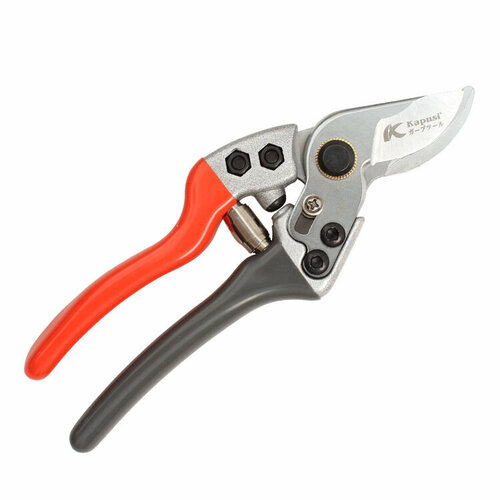 ���� ������� ������� ���������������� (�������������) Kapusi, ������ �� 1350 ���