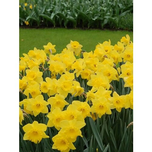 ���� �������� ������� ���� ������ - 10 ��., ������ �� 934 ���