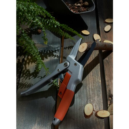 ���� ����-������� �� ��������, ������ �� 1790 ���