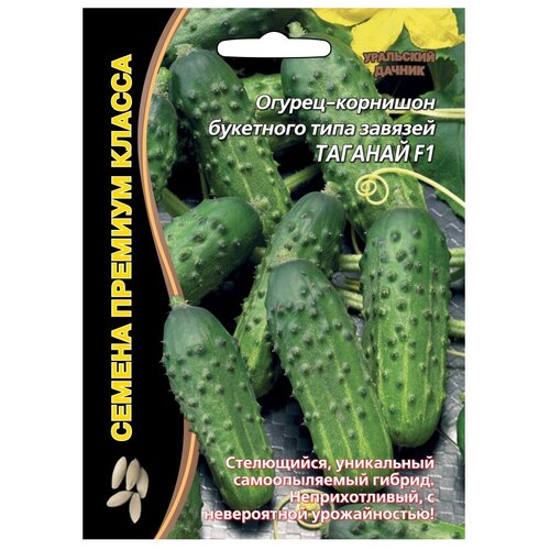 ���� ������ ��������� ������ ������� ������ ������� F1 5 ��., ������ �� 109 ���