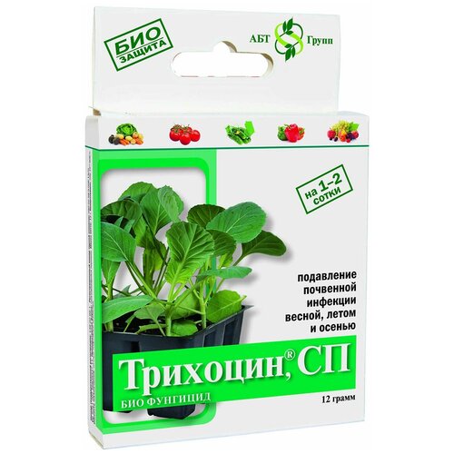 ���� ����������������� ���-�������� ��������, 12 ��, 12 �, ������ �� 442 ���