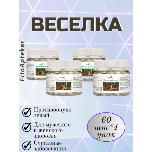 ���� ���� ������� � �������� 60��*4 ��������, ������ �� 3800 ���