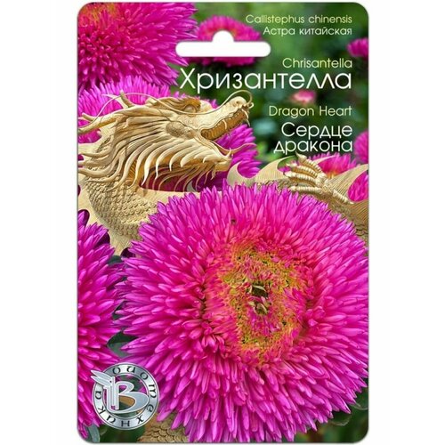 ���� ������ ����� ��������� ����������� 