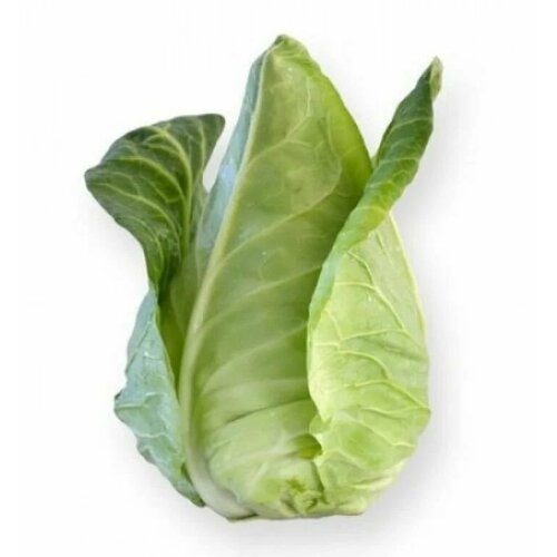 ���� ������������� ������ ������� �/� ���������� ������ F1, ������ �� 120 ���