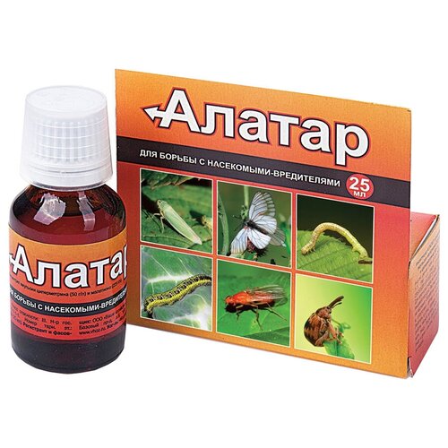 ���� ���� ��������� �������� ��� ������ �� ���������-���������� ������, 25 ��, 1 ��., ������ �� 200 ���