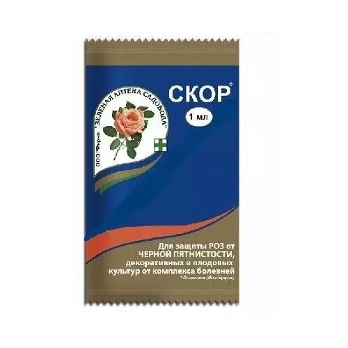 ���� ���� 