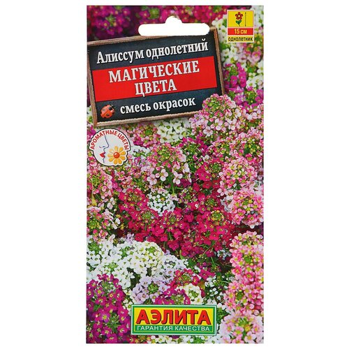 ���� ������ ������ ������� 