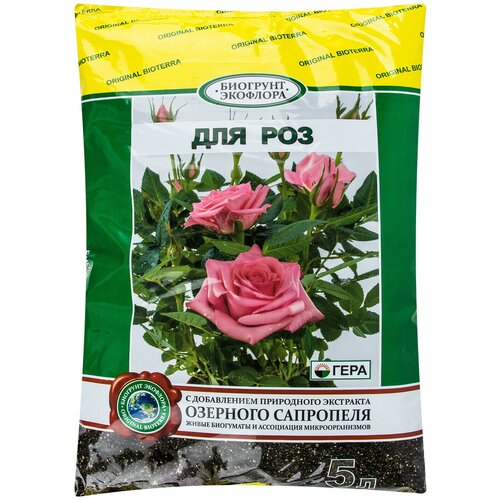 ���� ����� ��� ��� 5 �, ������ �� 479 ���