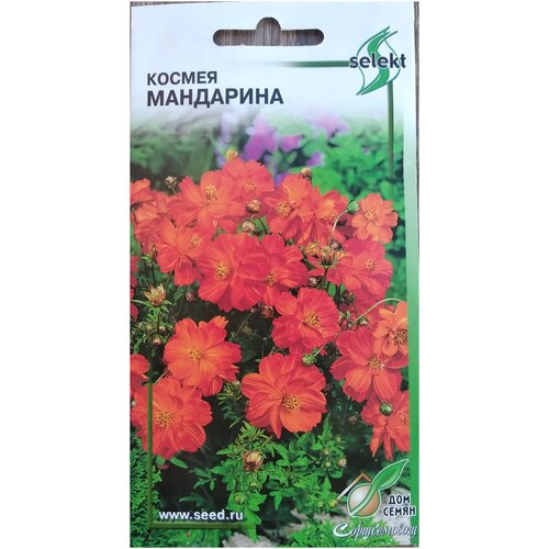 ���� ������ ���������, 10 �����, ������ �� 278 ���