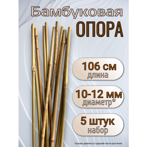        106 , 10/12 , 5.  .,   619 