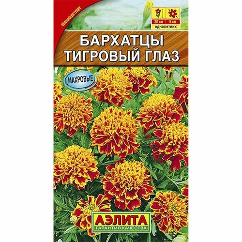 ���� ������ �������� �������� ���� ����������, (������) 0,3�, ������ �� 41 ���