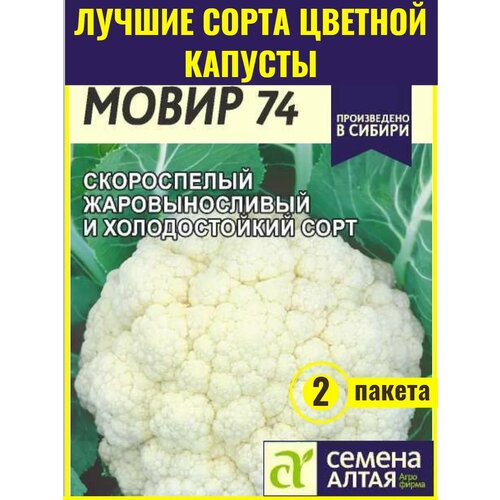 ���� ������ ������� ������� ����� 74, ������ �� 158 ���