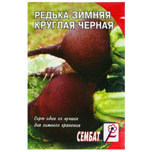 ���� ������ ������ 