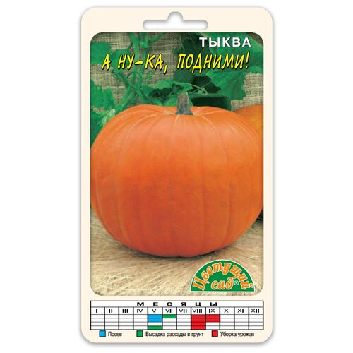 ���� ����� 