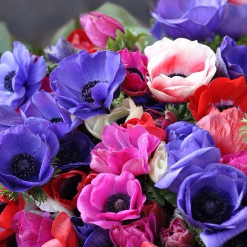 ���� ��������� ( ������� ) �� ���� ���� 10 ��, ������ �� 355 ���