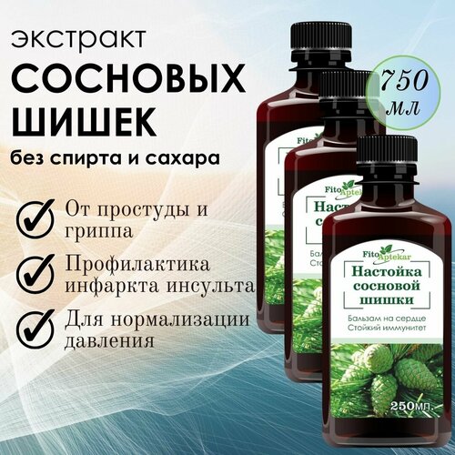 ���� �������� �������� ����� 