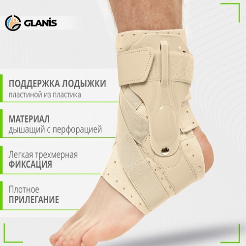 ���� Glanis �������� ������������� � ������� ���������, �������, ������ �, ������ �� 1893 ���