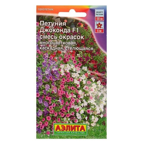 ���� ������ ������ ������� 