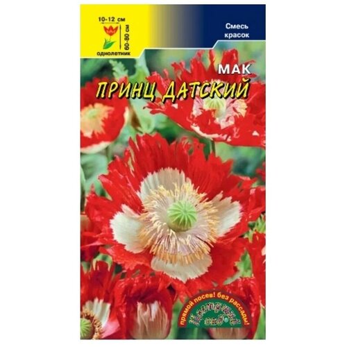 ���� ������ ���� 