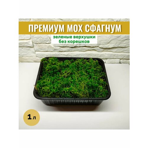 ���� ��� ������� ������ ������ ��� ������ � ������� 1 �, ������ �� 499 ���