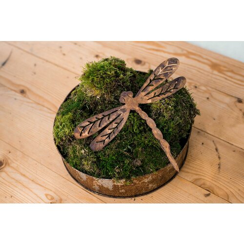 ���� ������� ������� ��� ���� � ������� ��������, ������ �� 950 ���