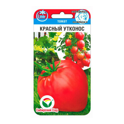 ���� ������ ����� ������� ������� 20�� ����� (��������� ���), ������ �� 60 ���