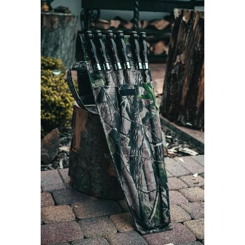 ���� ����� �������� 