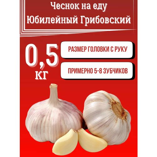 ���� ������ ��� ��� ������., ������ �� 600 ���