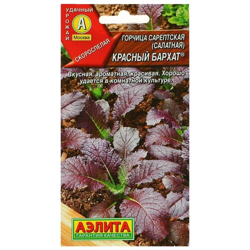 ���� ������ ��������� ������ ������� ���������� �������� ������� ������, 0.5 �, ������ �� 106 ���