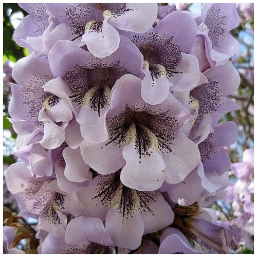     Hybrid-9501 200 .,   320 