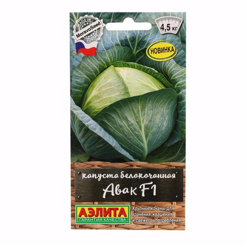    /  F1 ---  . . . 0,1 /,   312 