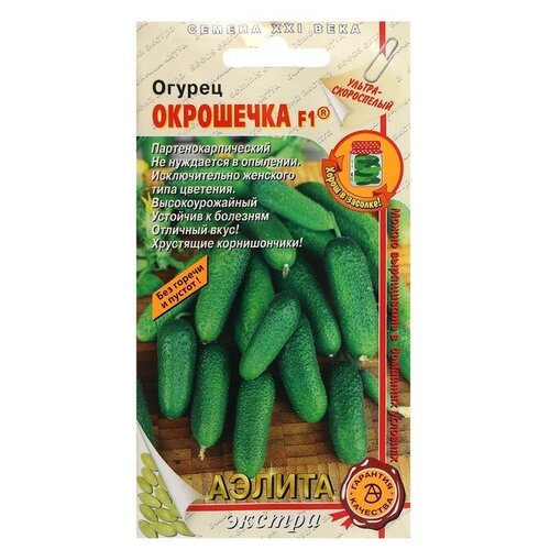 ���� ������. ������ 