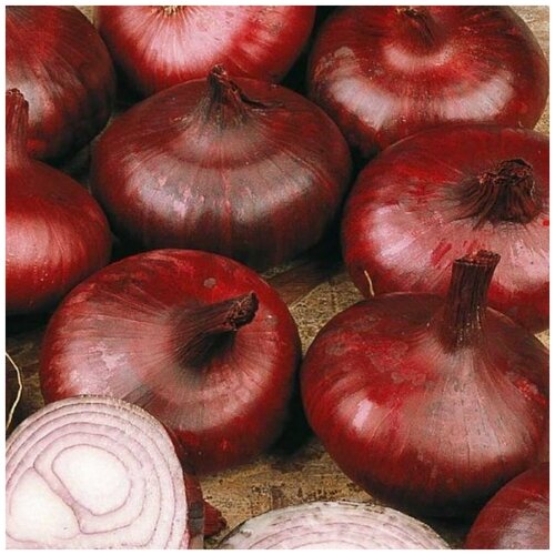 ���� ������ ����� ��� �������� �������� 1 �, ������ �� 67 ���