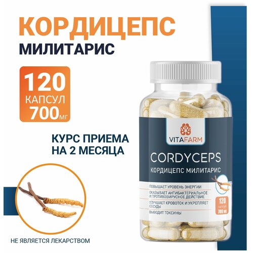 ���� ��������� ��������� (Cordyceps militaris) ������� 120 ��/ 700 ��, ������ �� 1500 ���