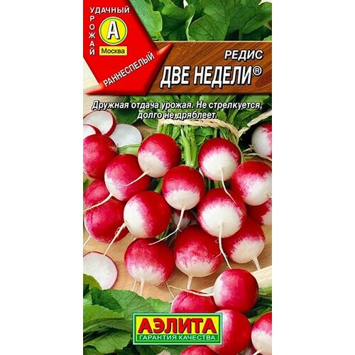 ���� ������ ����� ��� ������ 2 ��., ������ �� 44 ���