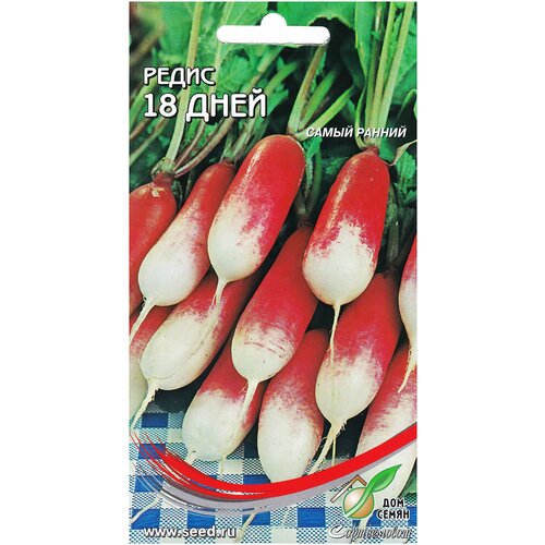 ���� ����� 18-�� �������, 160 �����, ������ �� 231 ���