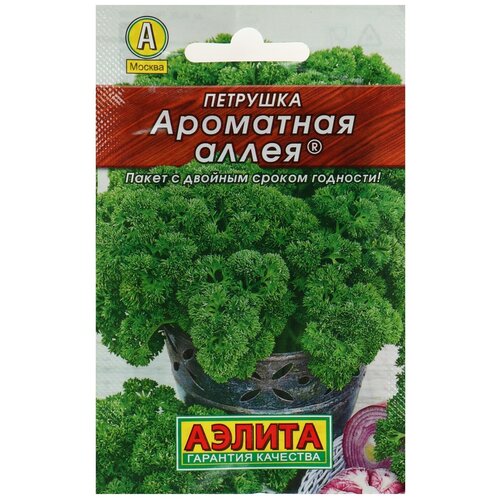 ���� ������ �������� �������� 