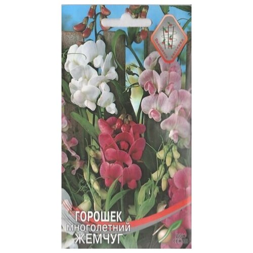 ���� ������� ����������� �������� ������ �����, 9 �����, ������ �� 256 ���