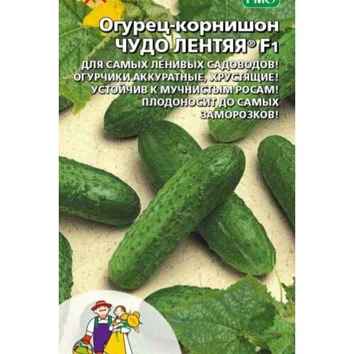 ���� ������ ������ ���� ������ - �������� F1 (��) �/�, ������ �� 106 ���