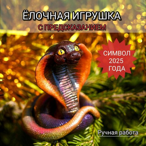 ���� ������� ������� ���� ������ ���� 2025, ������ �� 430 ���