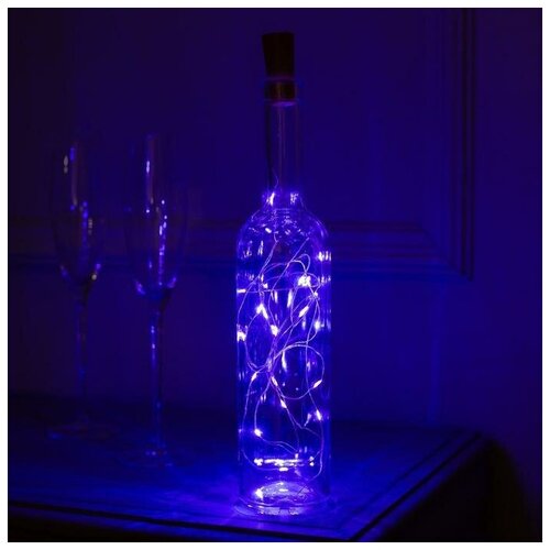 ���� �������� 